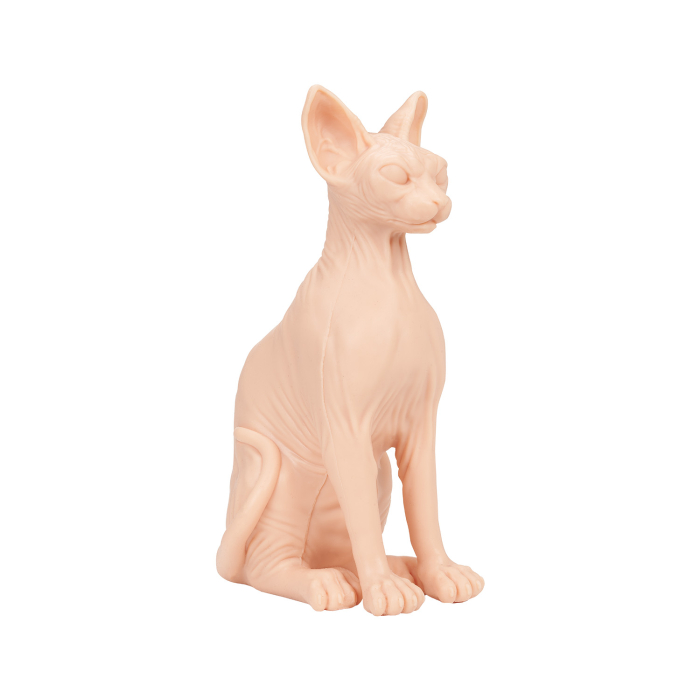 A Pound of Flesh Sphynx Nakenkatt