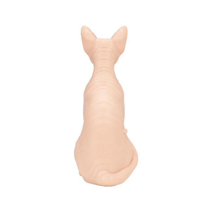 A Pound of Flesh Sphynx Nakenkatt