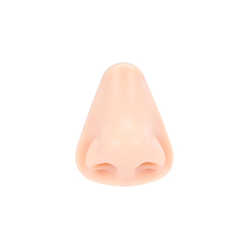 A Pound of Flesh - Tattoo, PMU and Piercing Nose