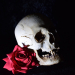 Opium Tattoo Gallery - Skulls and Roses Reference Photos USB av Filip Pasieka