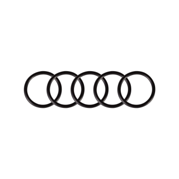 Pakke med 5 o ringer for Cheyenne Thunder and Spirit