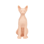A Pound of Flesh Sphynx Nakenkatt thumbnail
