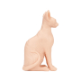 A Pound of Flesh Sphynx Nakenkatt thumbnail